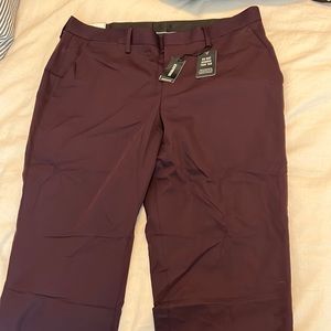Express Chino/Dress Pants